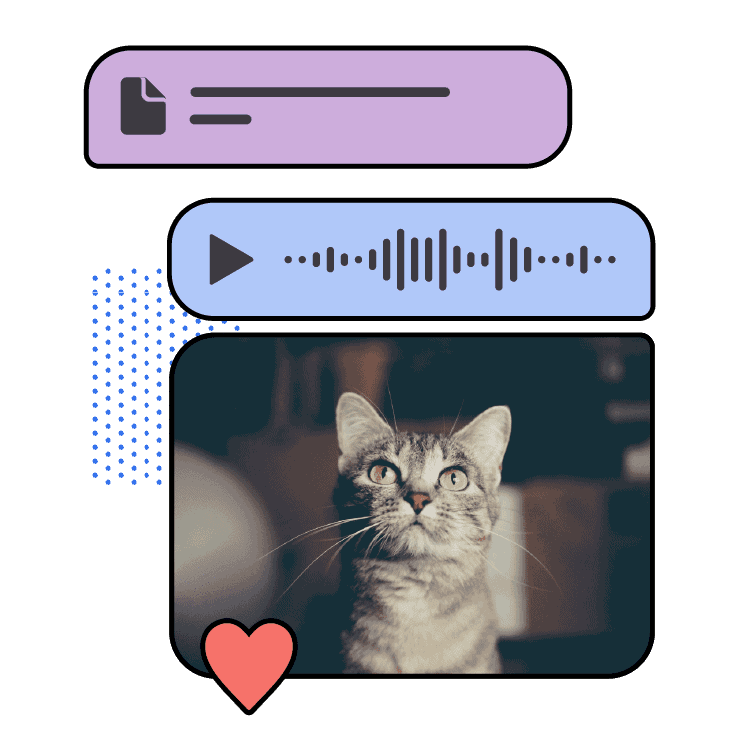 图片[7]-Signa中文版官方网站 - 隐私保护首选Signal电脑版-Signa中文版官方网站